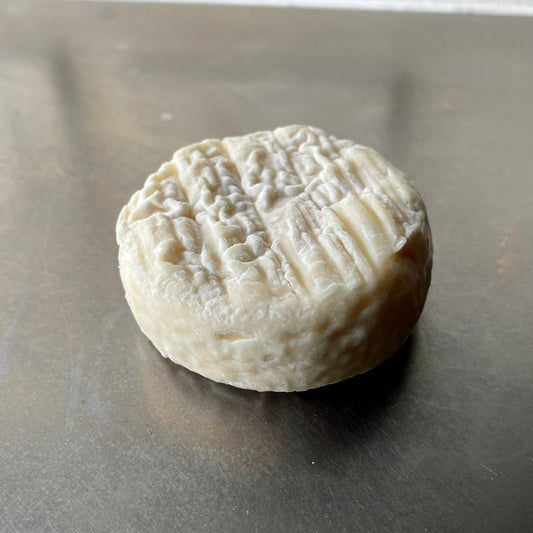 Cheese Soars to 33,000 Feet!