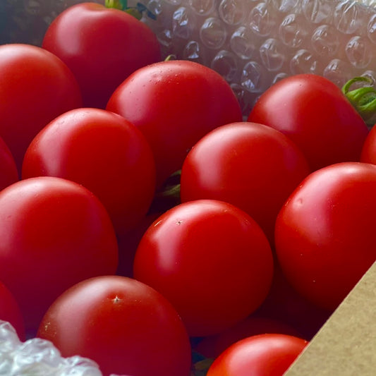 Sweet tomatoes are now in season.