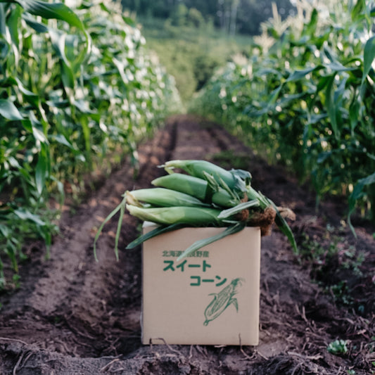 Mouth watering organic sweet corns is online now