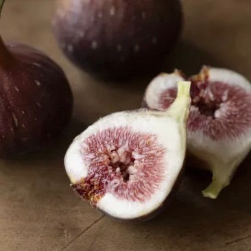 Pre-Orders Now Open!