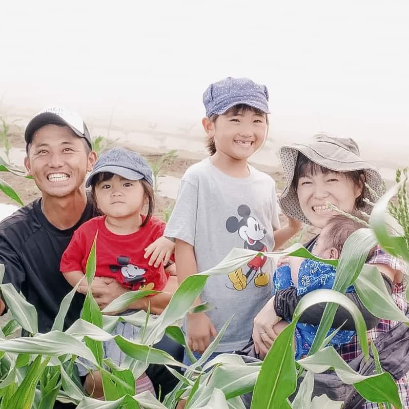 Seasonal Organic Vegetables Medium Box (Perfect for Family of 4-5)