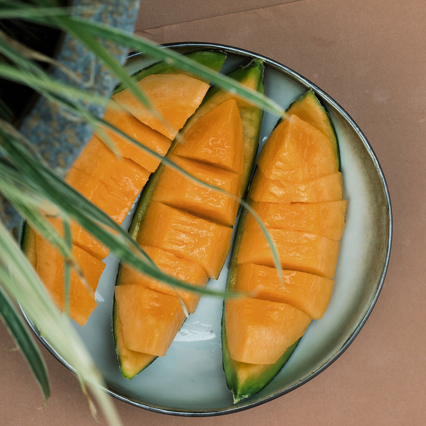 Furano Melon 1.6kg (incl Shipping)