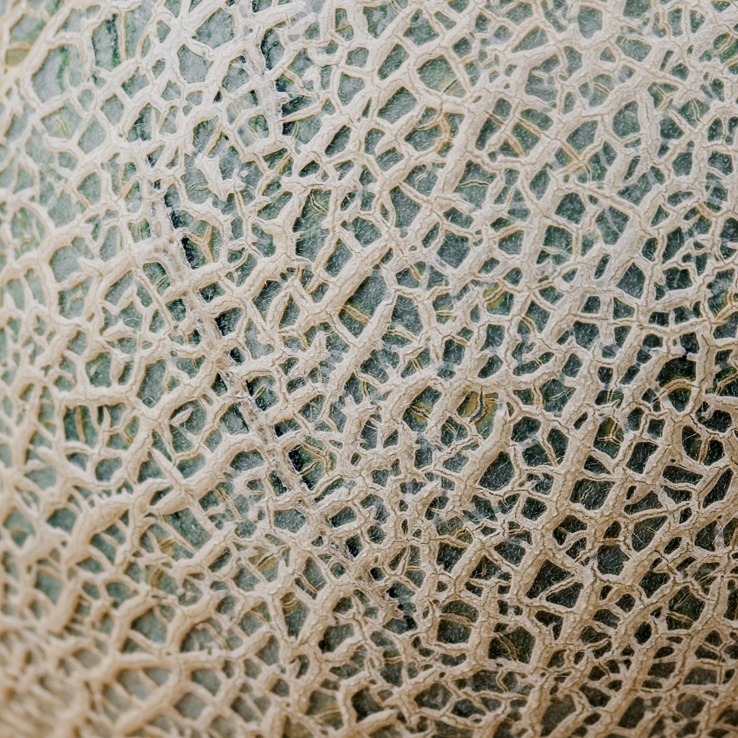 Furano Melon 2.0kg(incl Shipping)