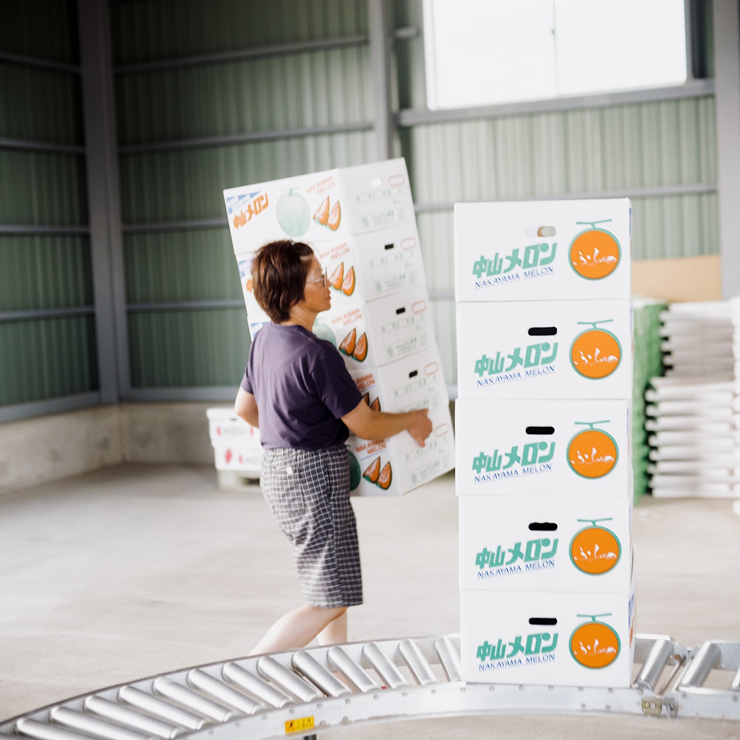 Furano Melon 2.0kg(incl Shipping)