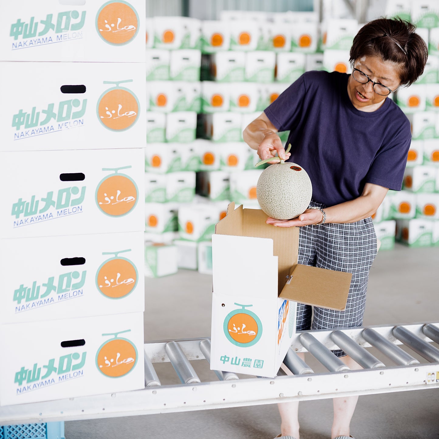 Furano Melon 2.0kg(incl Shipping)