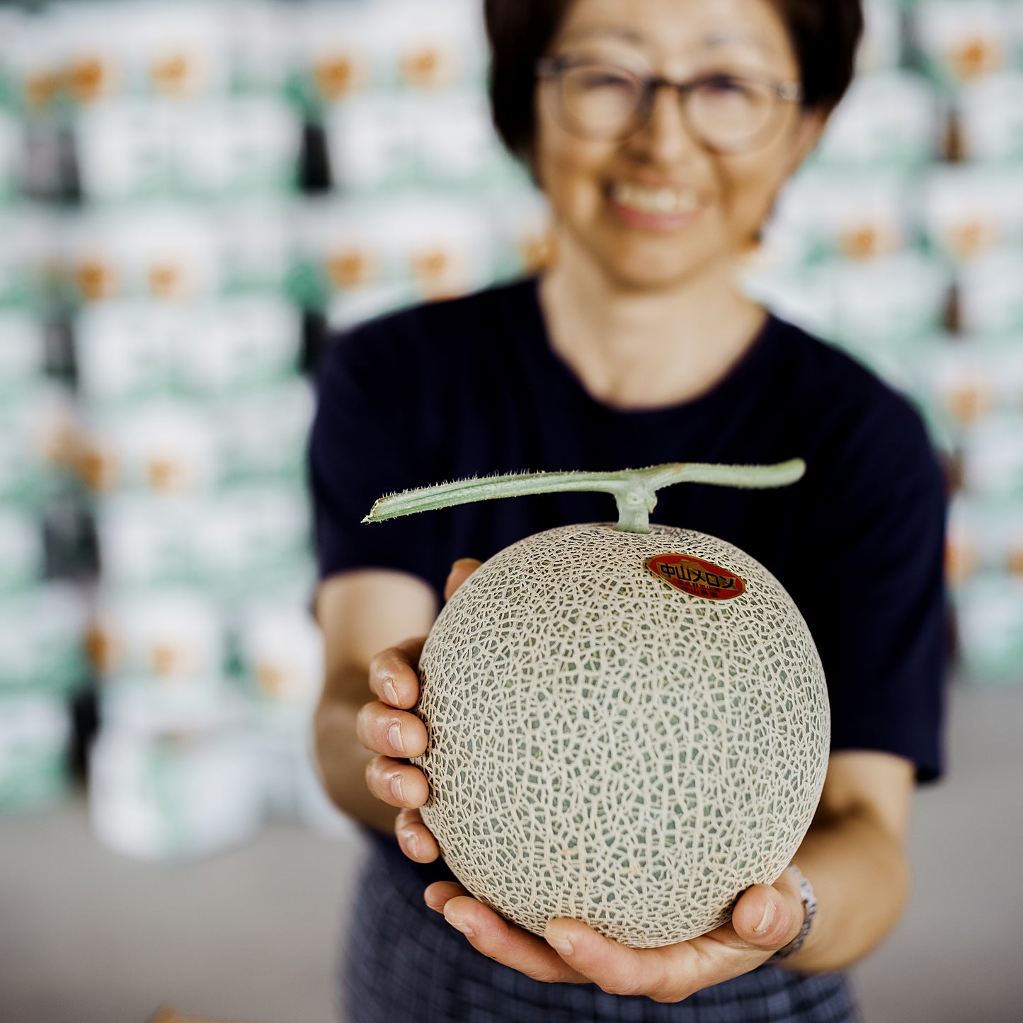 Furano Melon 1.6kg (incl Shipping)
