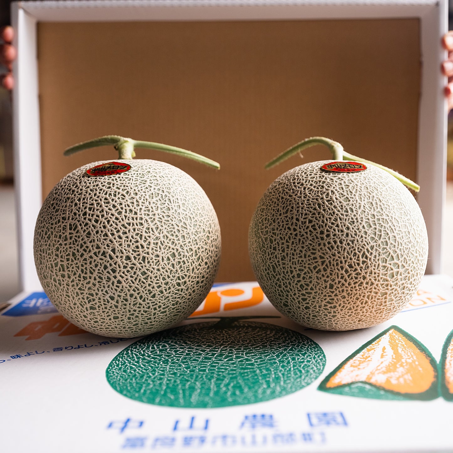 Furano Melon 2.0kg(incl Shipping)