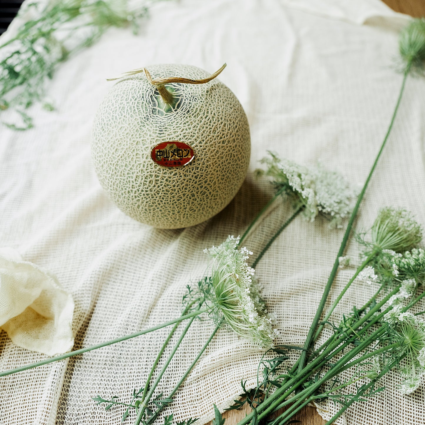 Furano Melon 2.0kg(incl Shipping)