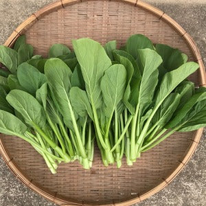 Seasonal Asian Vegetable Set