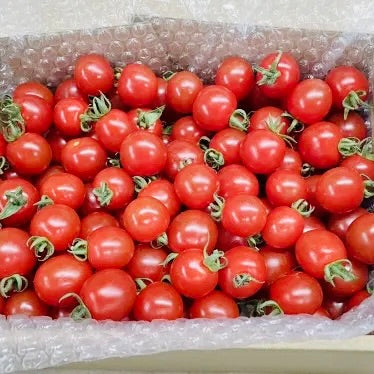 Mini Tomatoes