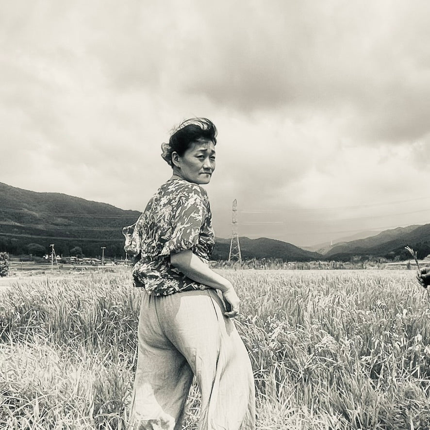 Nouvelle SHOJIN CURRY (Vegan curry)