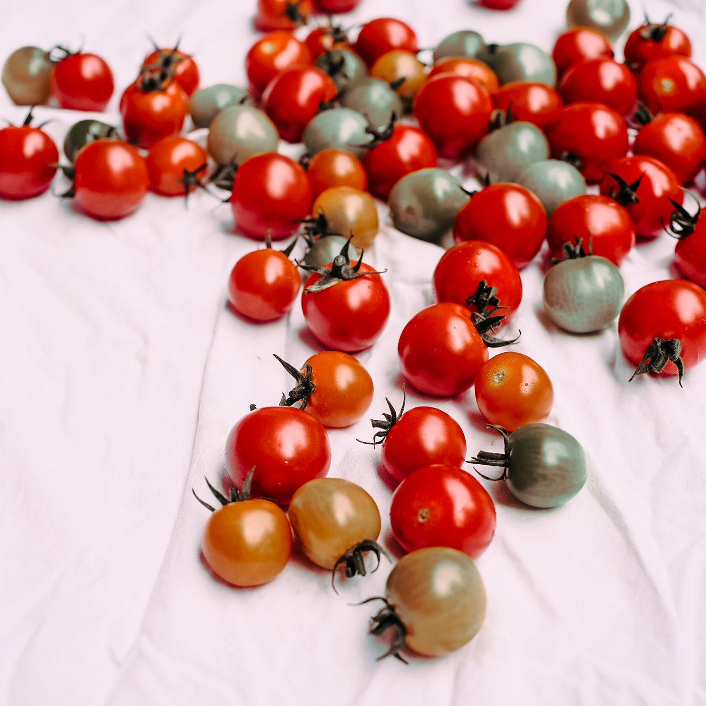100% Pure Tomato Juice made from 20 Mini Tomatoes