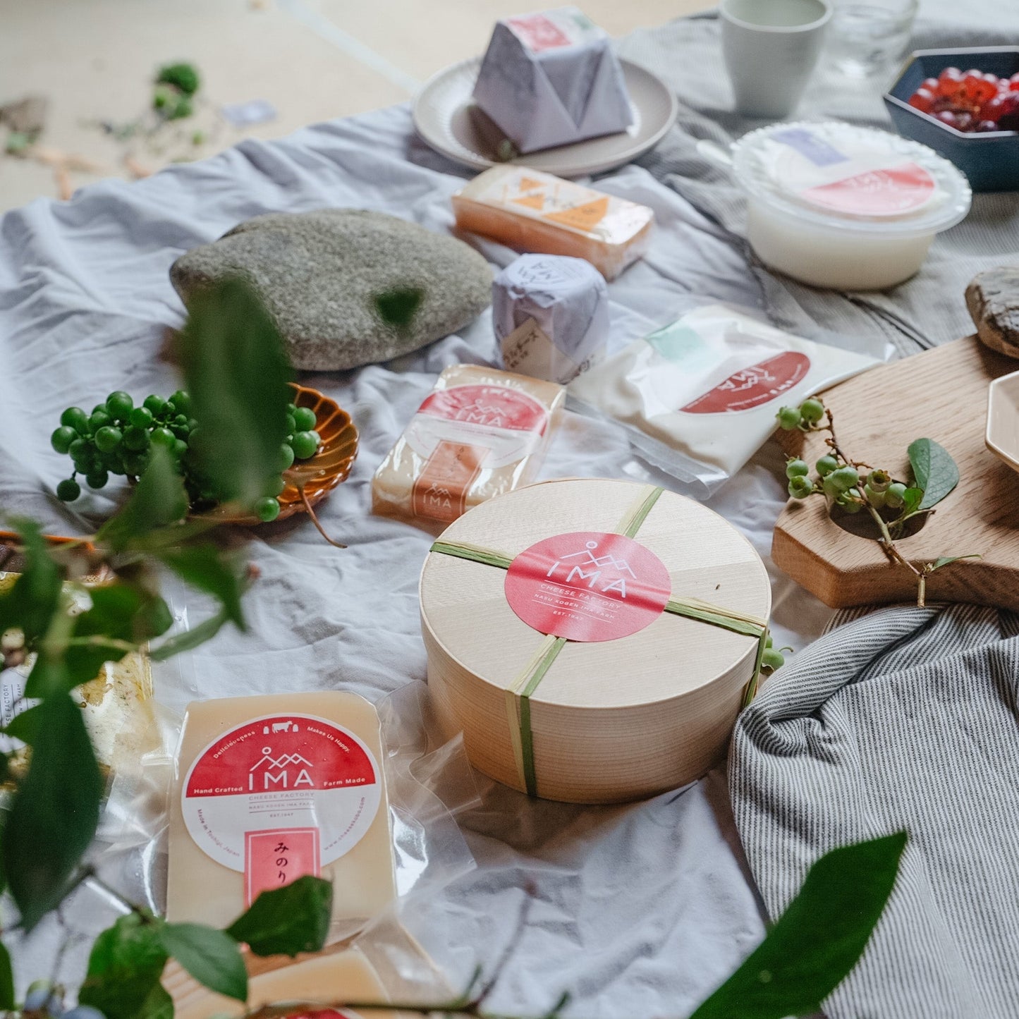 Washed-rind Cheese  "Rindo"