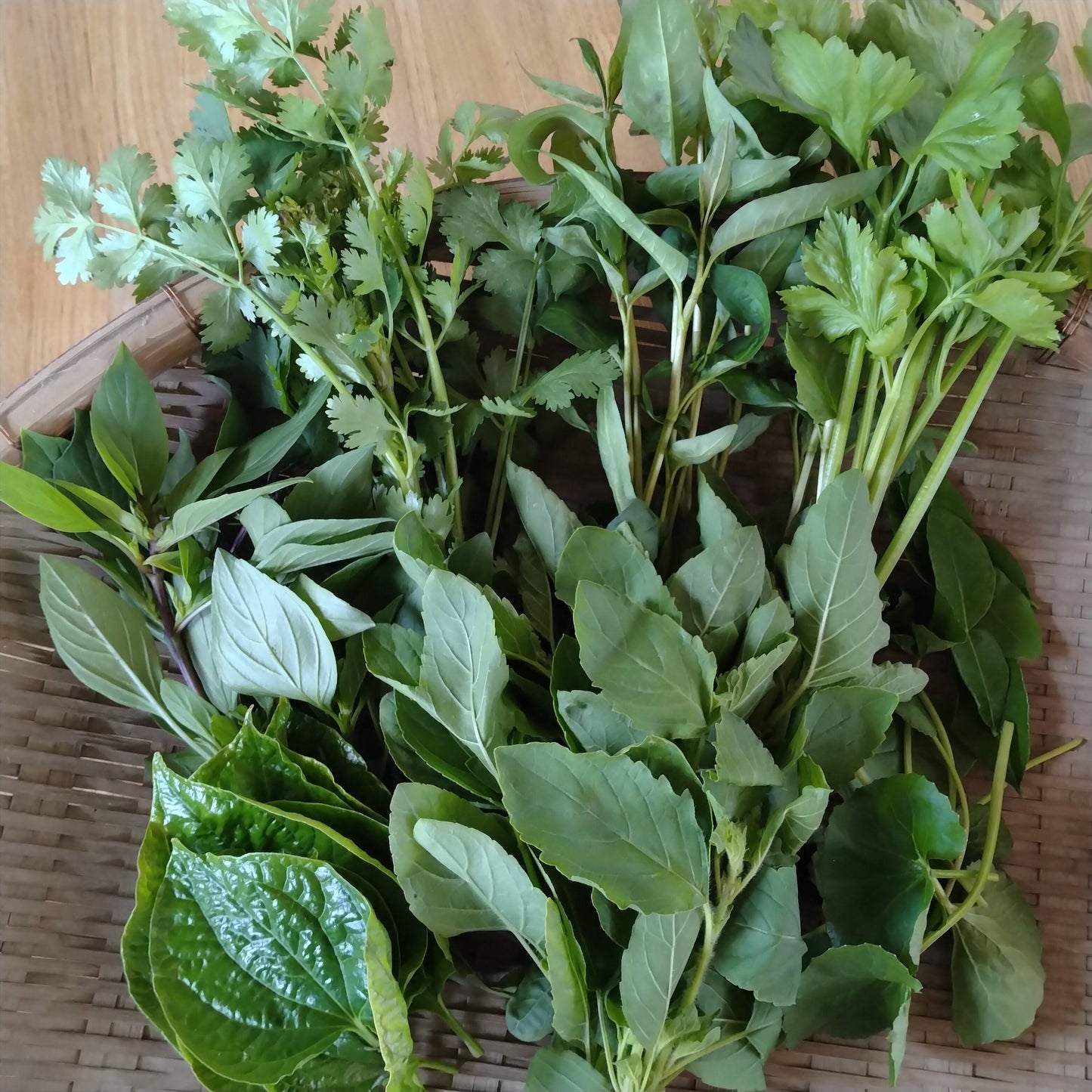 Seasonal  Fresh Herbs Set