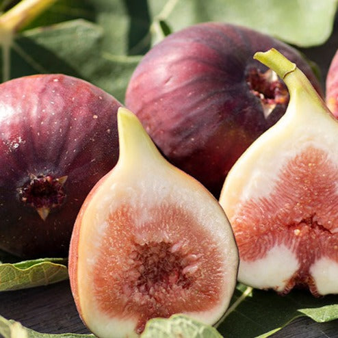 Figs 1kg from Habikino Osaka