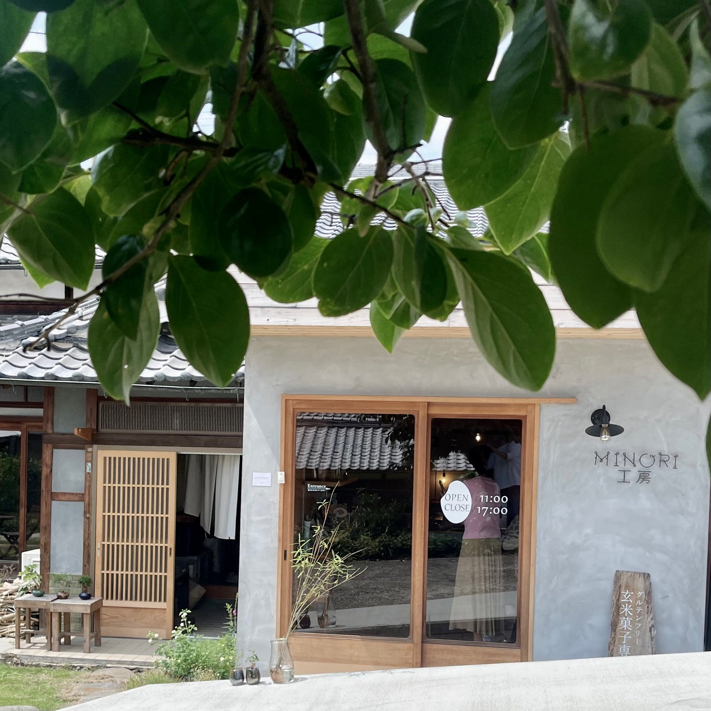 Gluten-Free Organic Gelato Set of 6