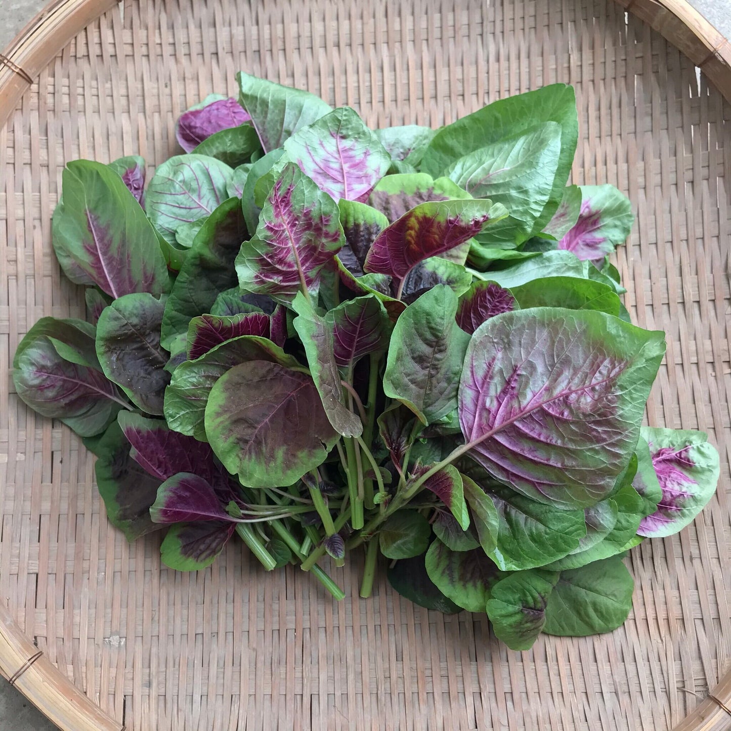 Seasonal Asian Vegetable Set