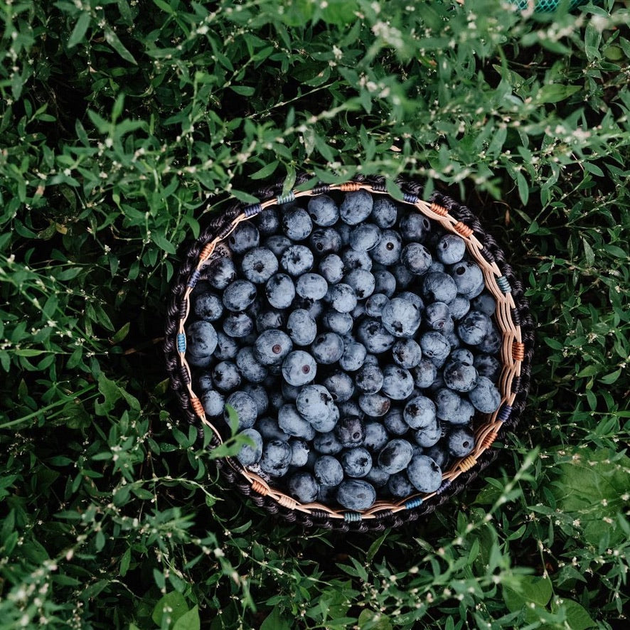 Set of Natural Fruit Preserves from Hokkaido
