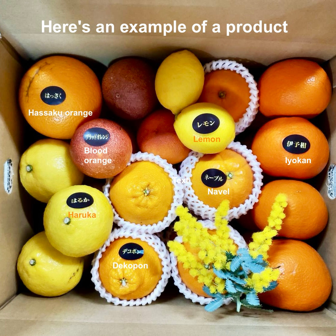 Seasonal citrus jewel box