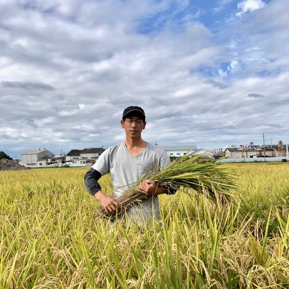 Gluten-Free Organic Gelato Set of 6
