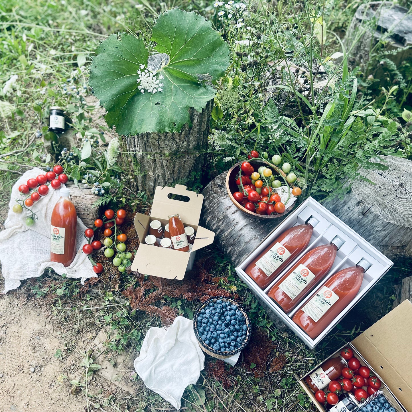 100% Pure Tomato Juice made from 100 Mini Tomatoes