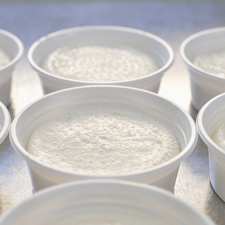 Fresh Cow Milk Cheese "Yukiyanagi"