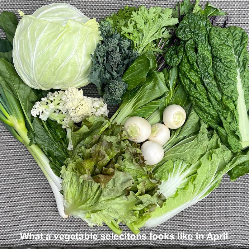 April vegetables set