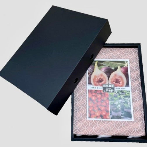 Tree-Ripened Premium Fig "Habikino Violet - SHIZUKU"