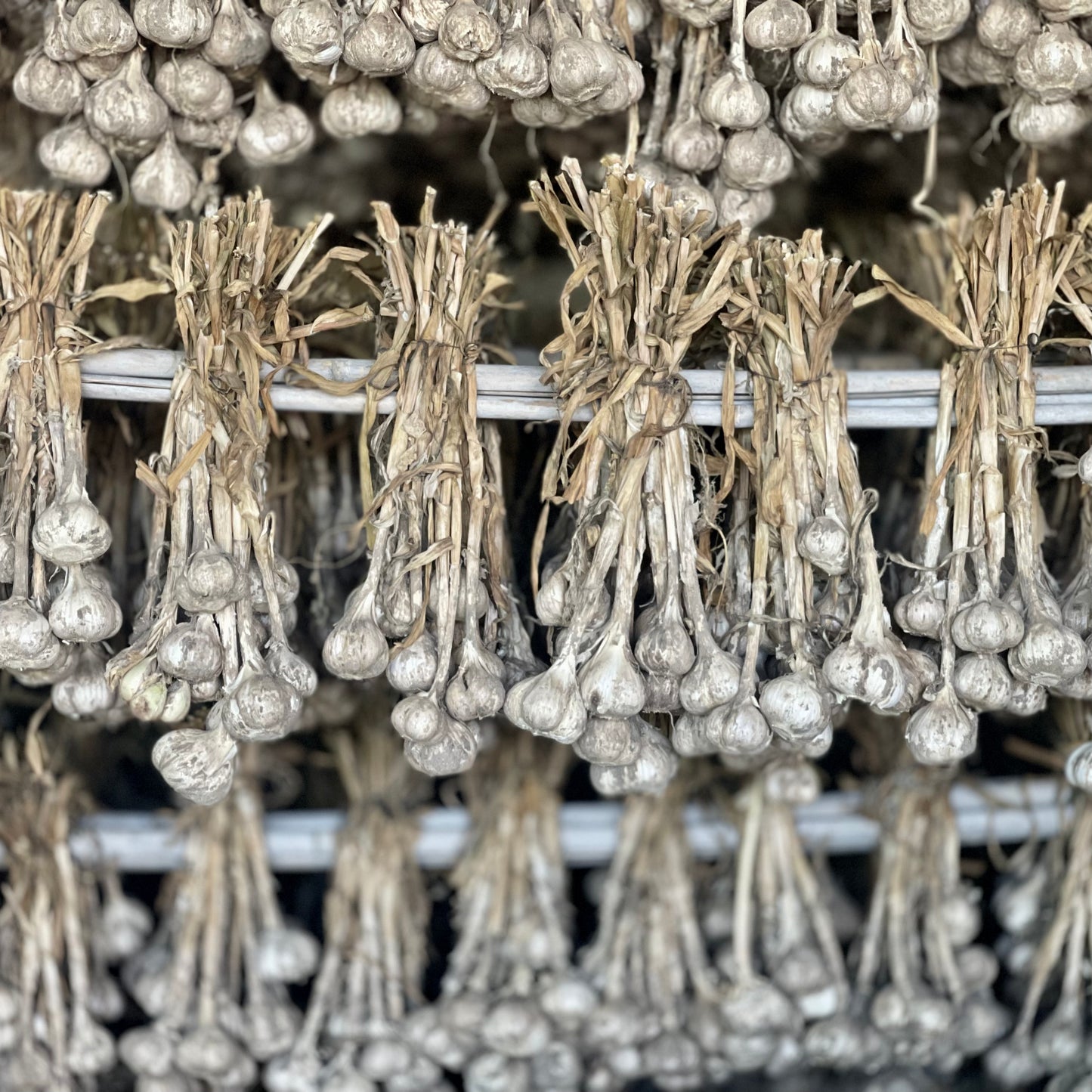Organic Garlic 1kg