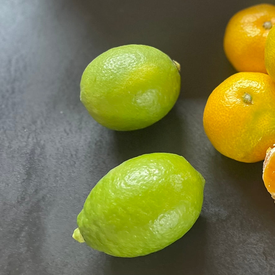 Seasonal citrus jewel box