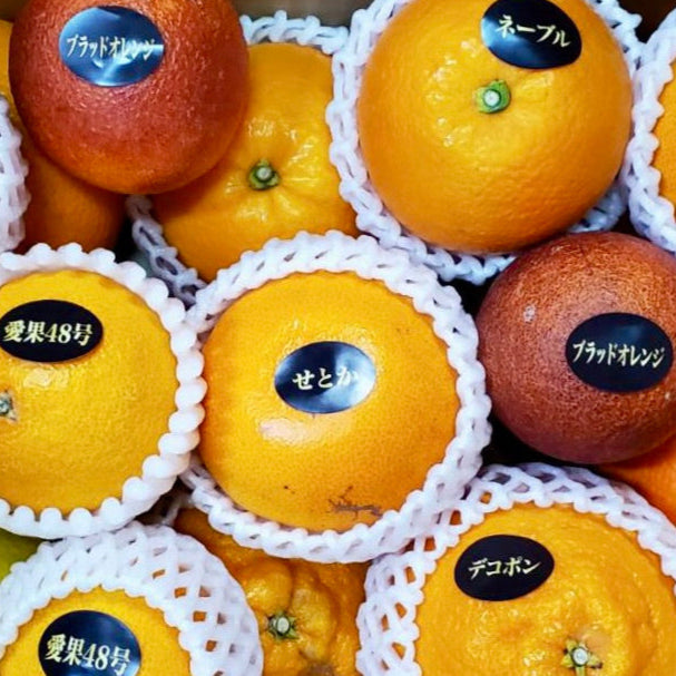 Seasonal citrus jewel box