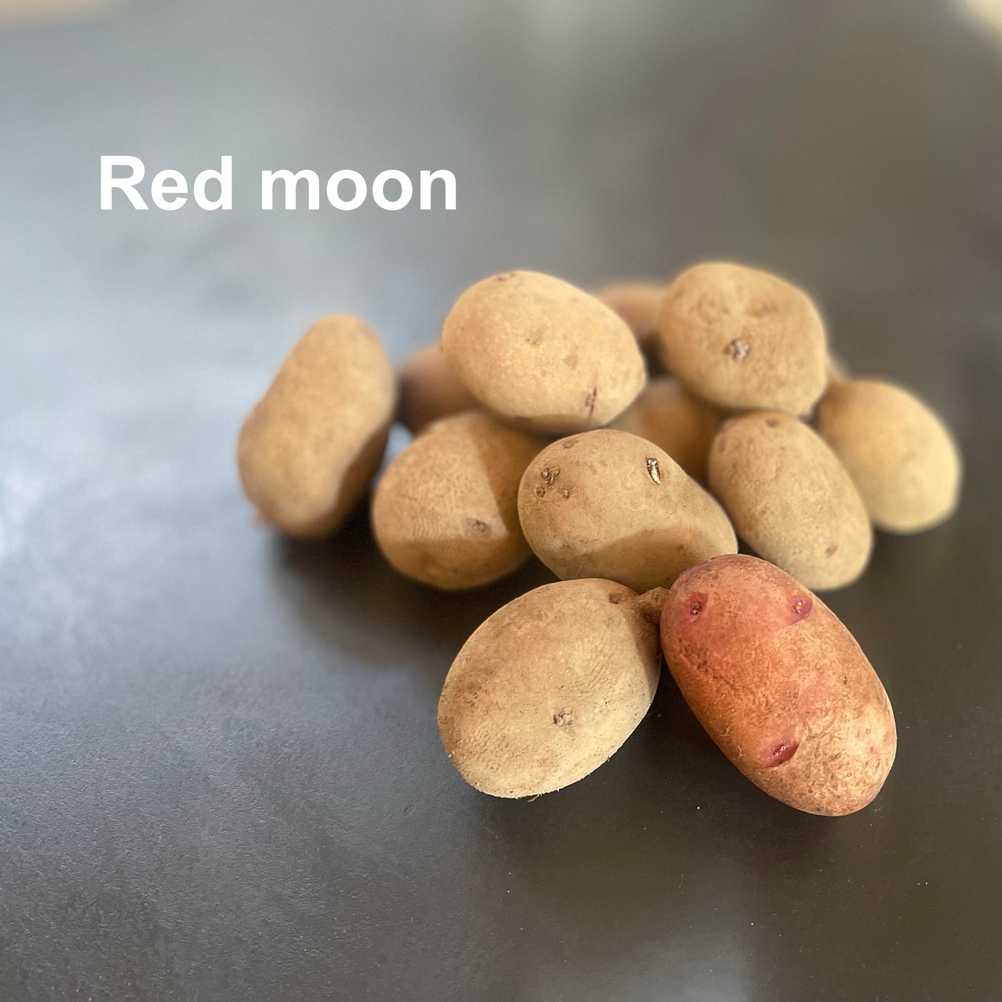 Hokkaido Potatoes and Panpkin set