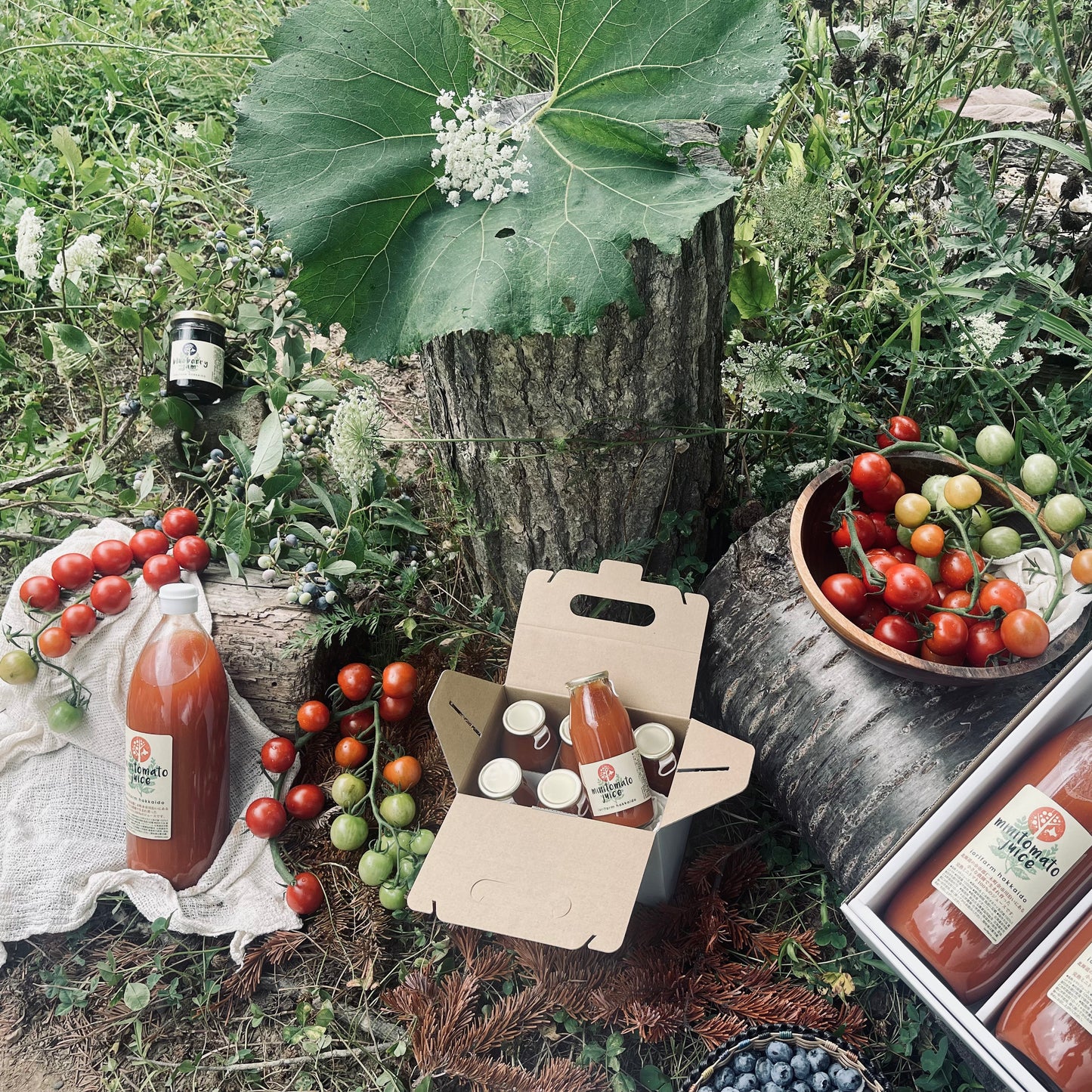 100% Pure Tomato Juice made from 20 Mini Tomatoes
