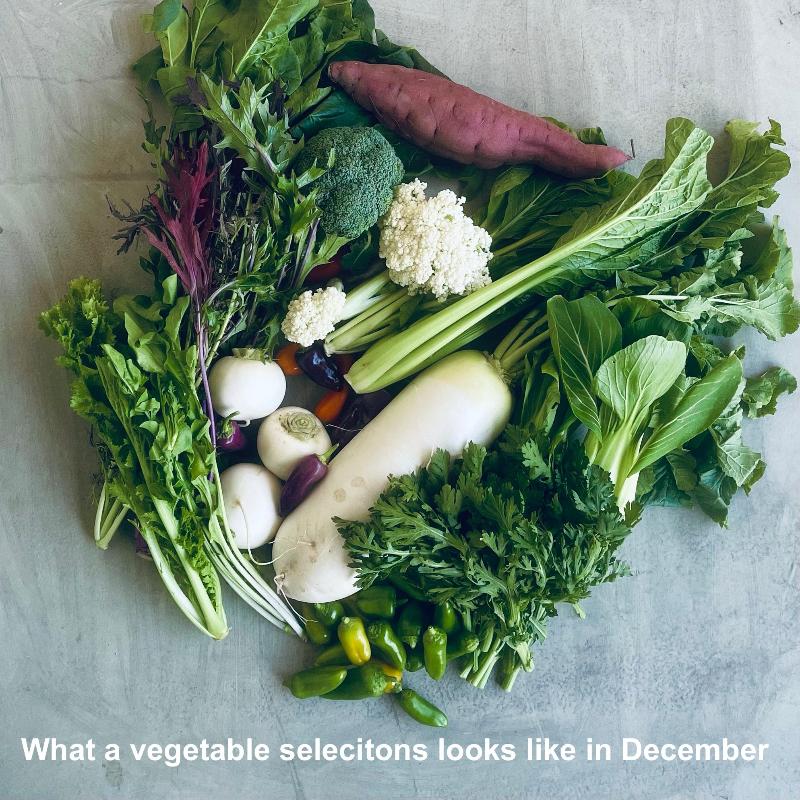 December vegetables
