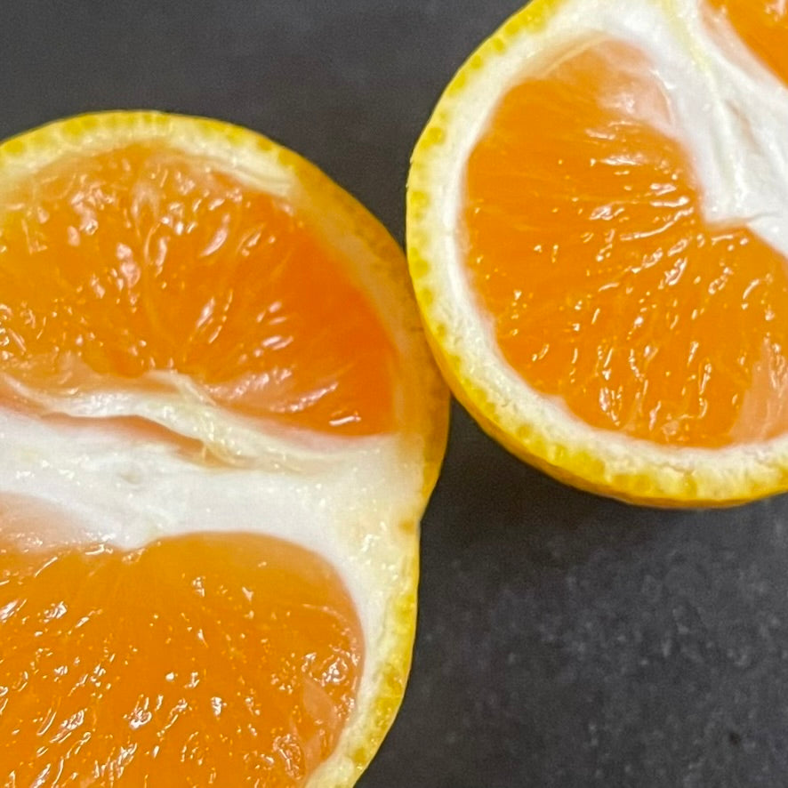 WASE MIKAN (Early-Harvest Mandarin Oranges)