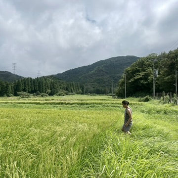 “Inochi no Ichi” (Brown Rice)