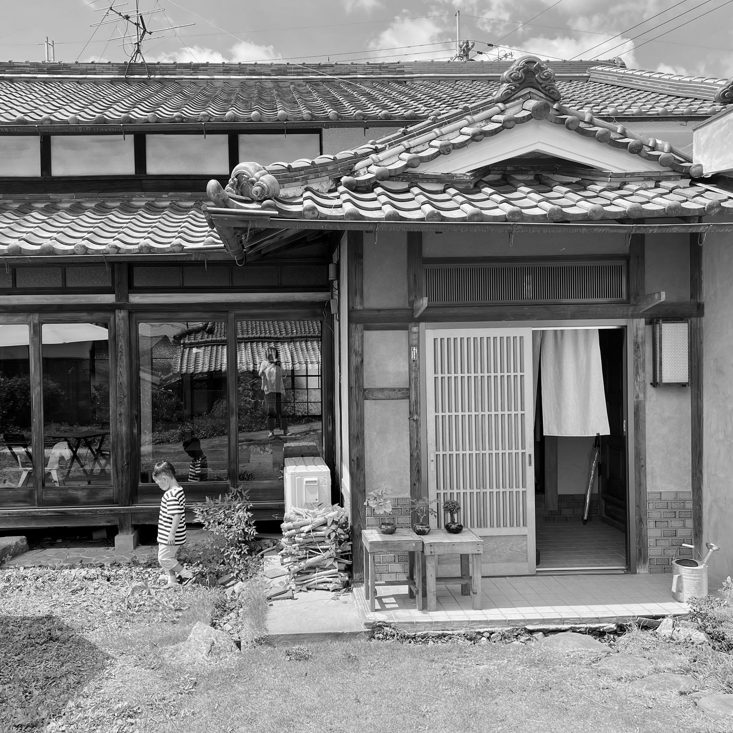 Gluten-Free Organic Gelato Set of 6