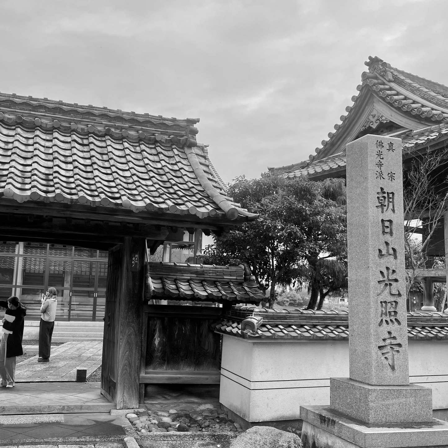 Nov 9, 2025. KAZAMIKOBAKO (8spots)