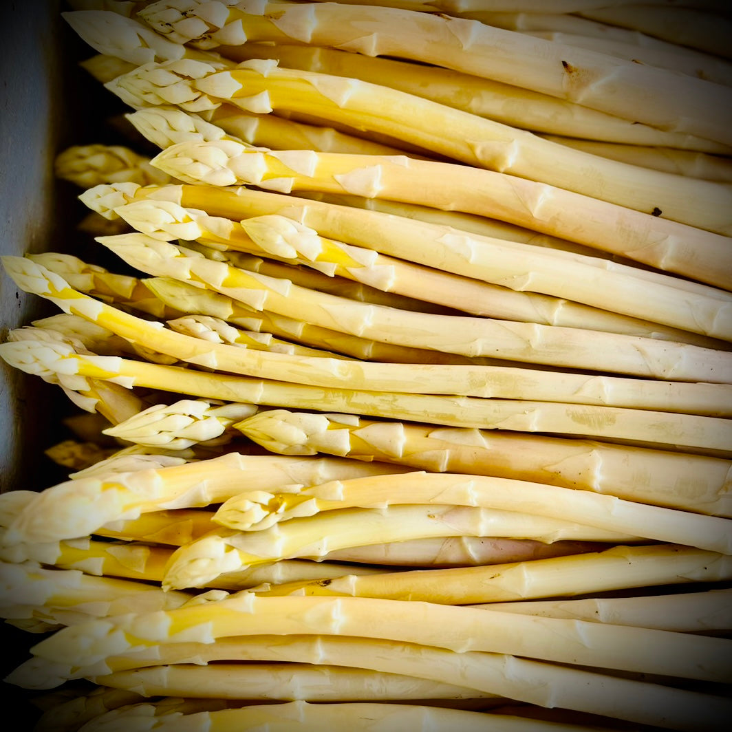 White Asparagus  size L-2L (Incl shipping fee)