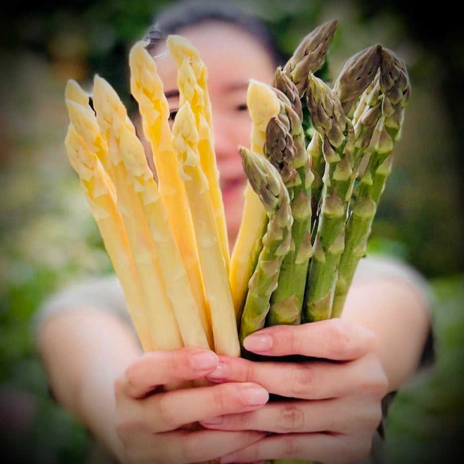 White/Green Asparagus  size L-2L mix (Incl shipping fee)