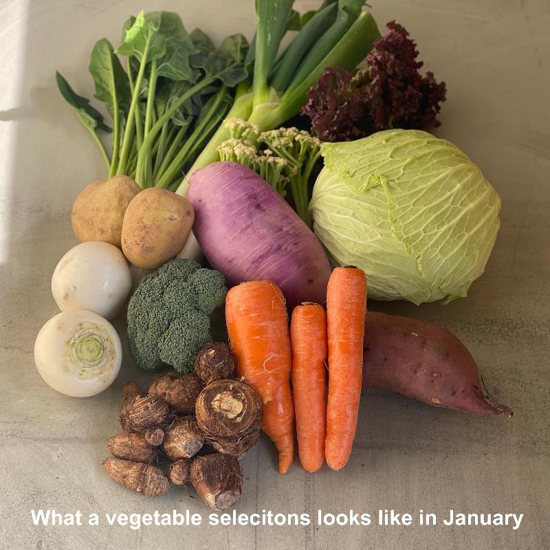 January vegetables set