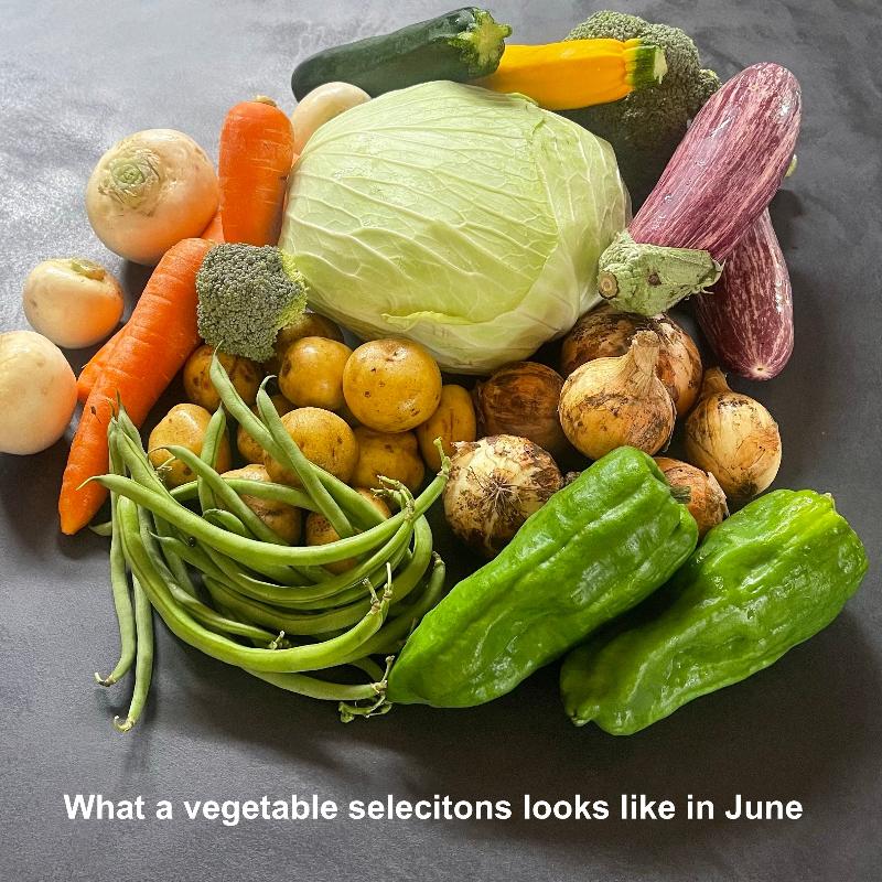 June vegetables set