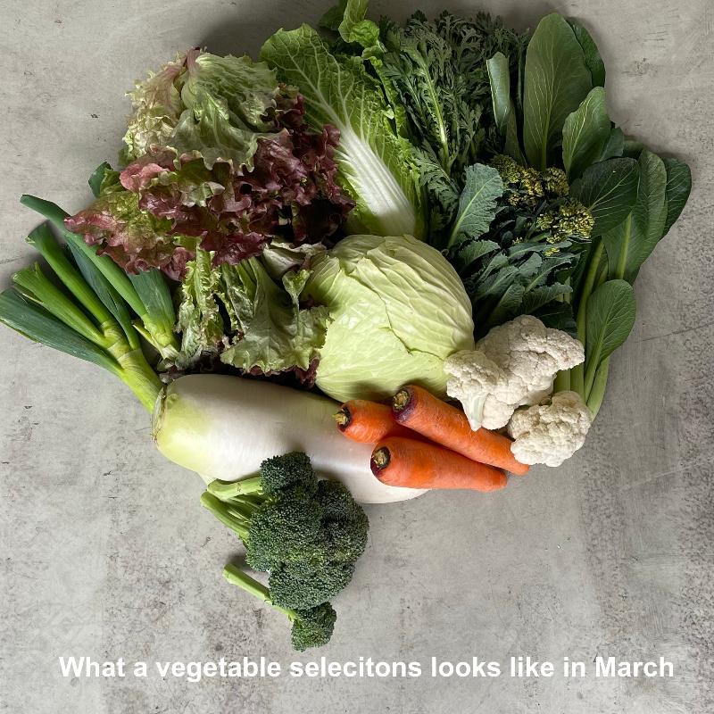 March vegetables