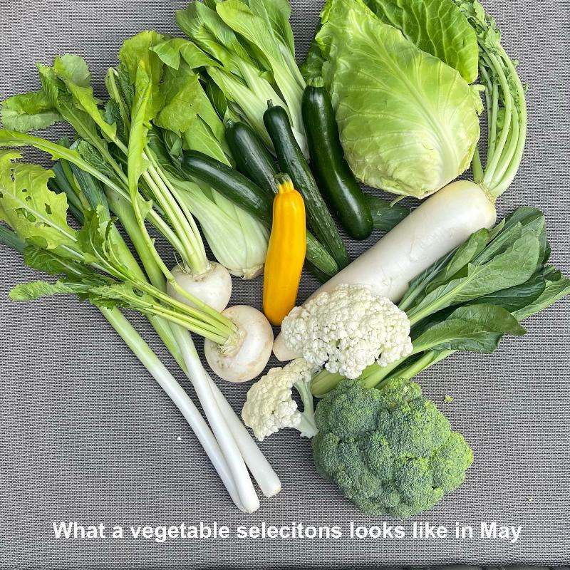 May vegetable set