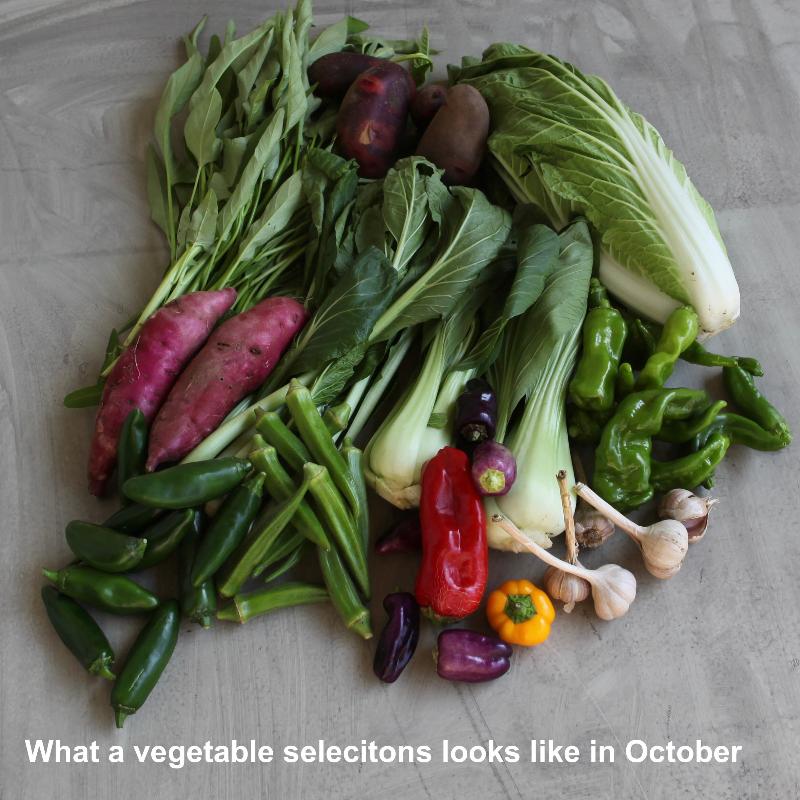 October vegetables