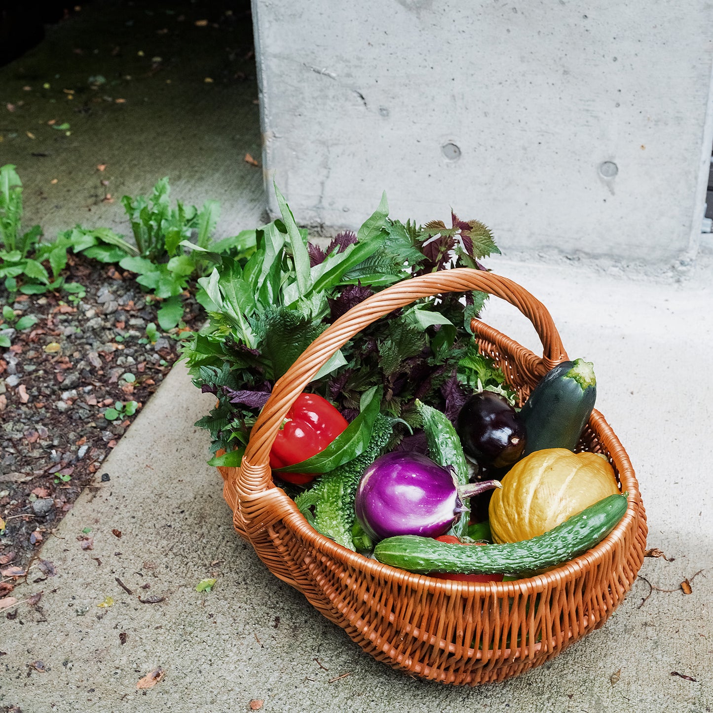 Seasonal Organic Vegetables Small Box (Perfect for Family of 2-3)