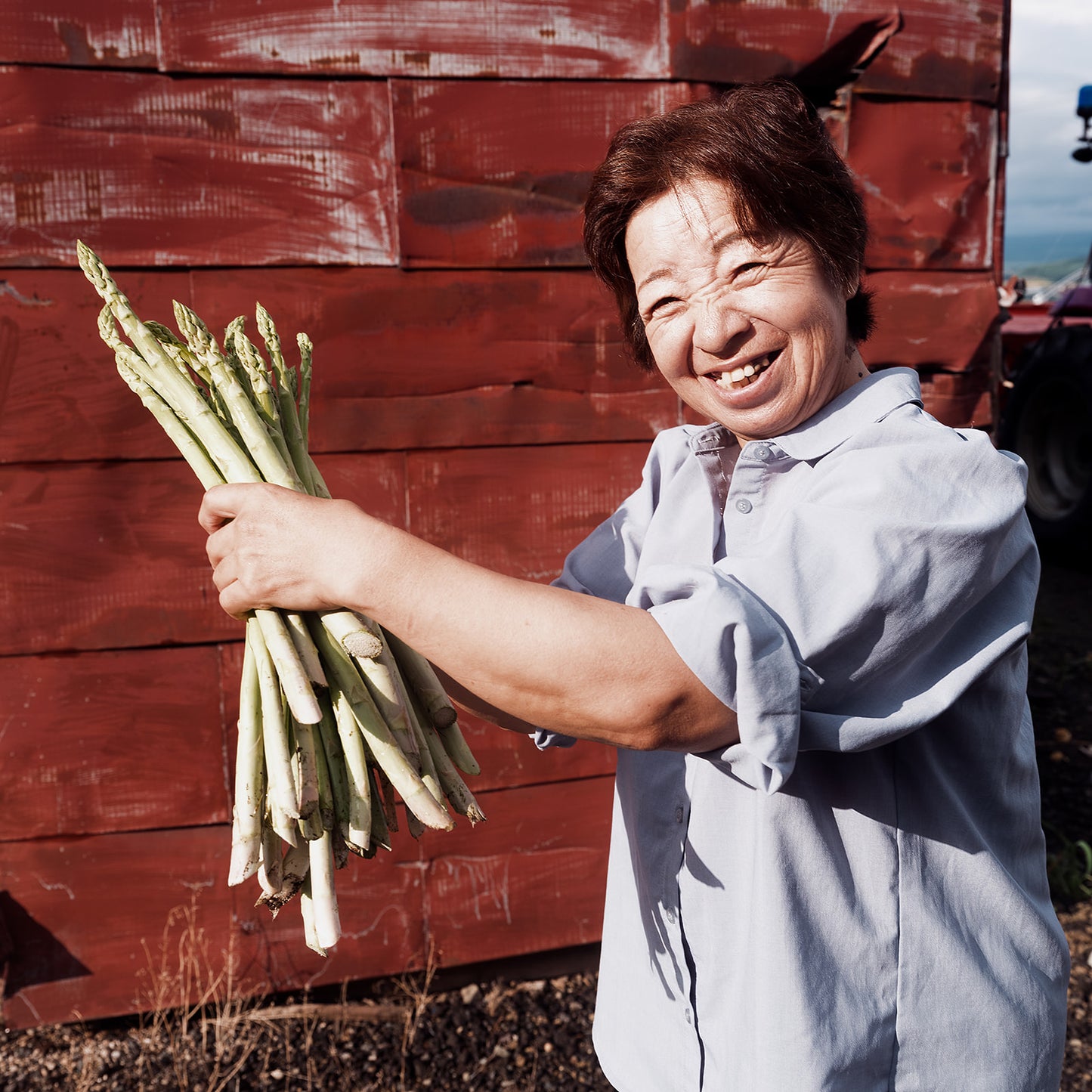 White Asparagus  size L-2L (Incl shipping fee)