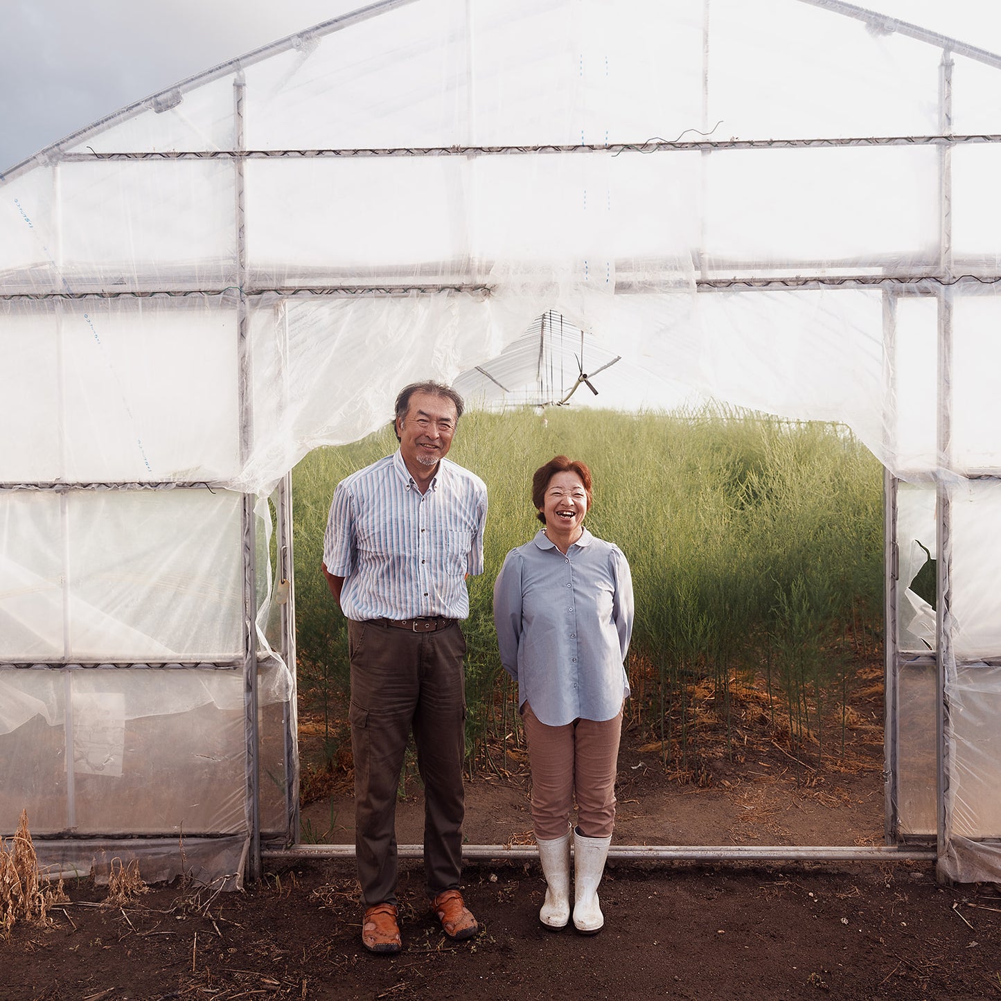 Green Asparagus size 2L(Incl shipping fee)