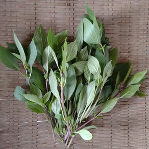 Seasonal  Fresh Herbs Set