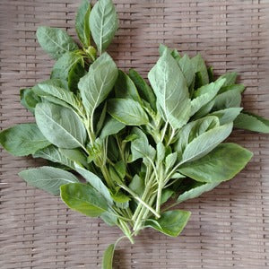 Seasonal  Fresh Herbs Set